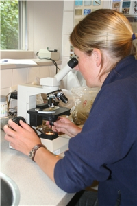 Mestonderzoek