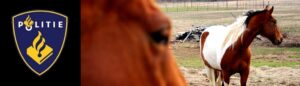 twee paarden 3 header 2 politie 2
