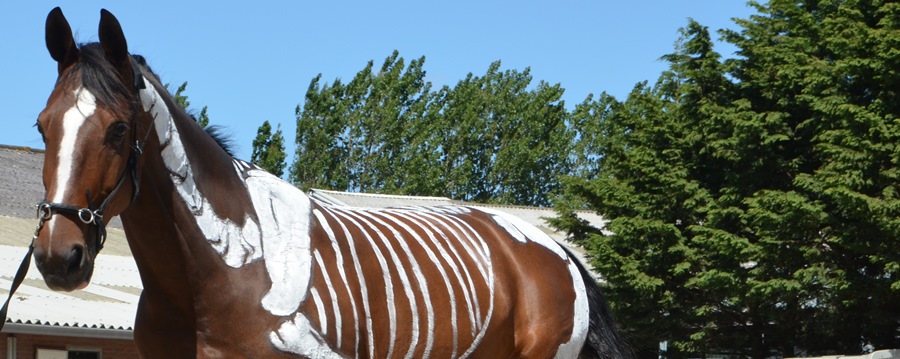 blessurepreventie header