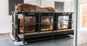 Leen Soldaat - iDots - Aquatrainer 2