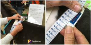 Paardenarts.nl - Meetlintinstructie mini paard 2