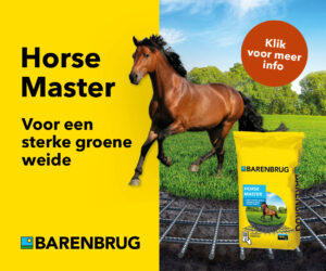 Barenbrug Horse Master - voor een sterke groene weide