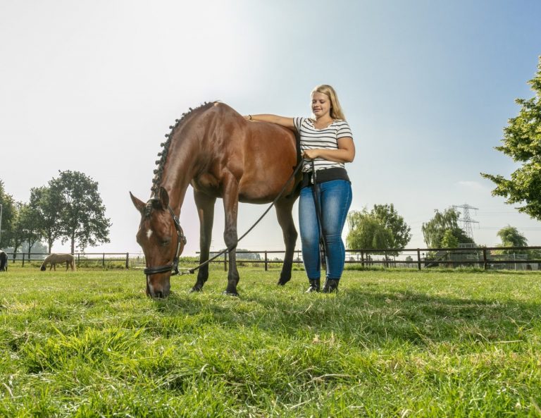 Horse Master Barenbrug - paardengras