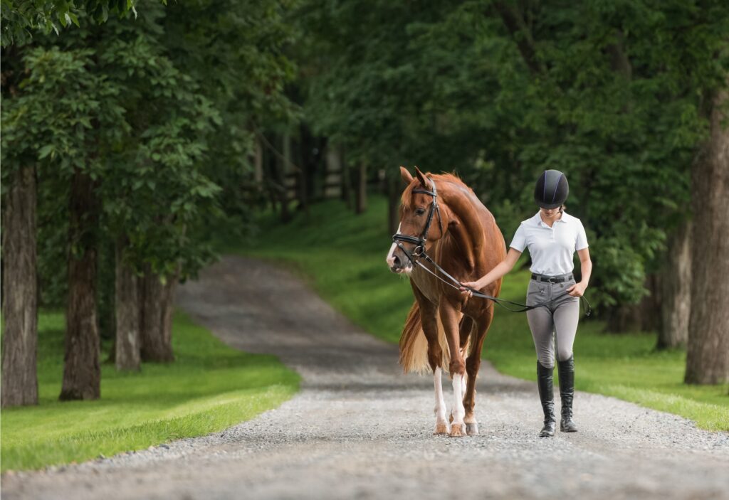 Paardenarts.nl - Zoetis Rhino-EHV_49 (sm)