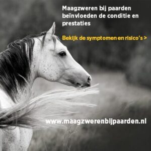 Paard Maagzweren Zoetis