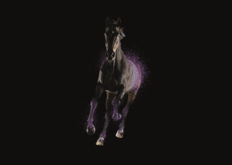 Stamceltherapie bij paarden met artrose - Boehringer Ingelheim - Paardenarts.nl