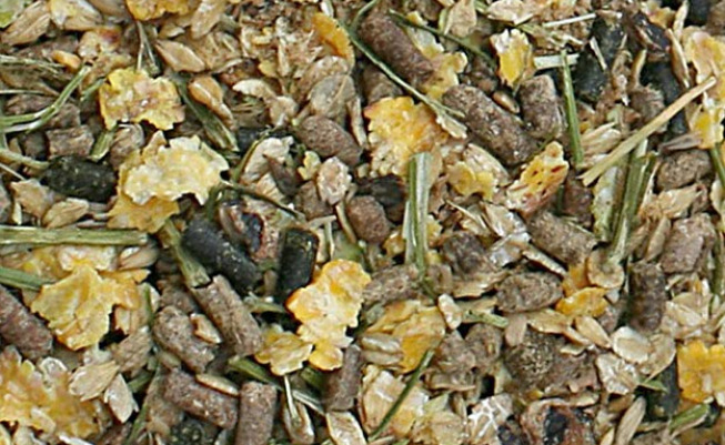 Bonpard Senior product close up