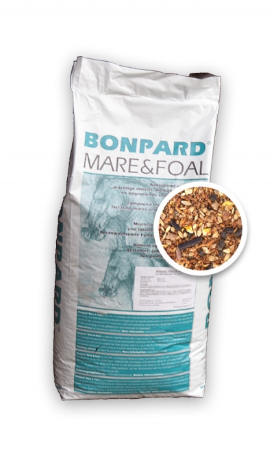 Bonpard Mare&Foal productafbeelding