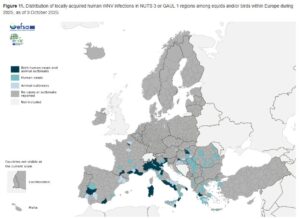 ECDC map distribution WNV infections Human, Equids and birds 03.10.2025