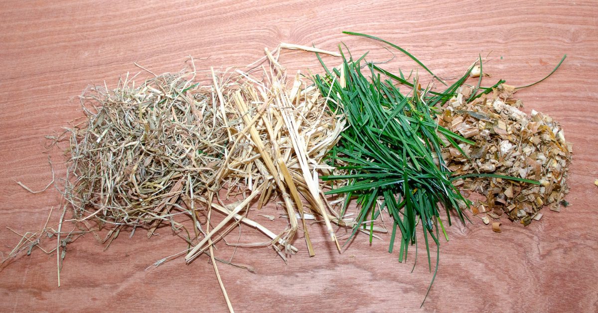 paardenarts.nl-paardenvoeding-ruwvoer voor alle paarden-verschillende soorten ruwvoer-uitgelicht