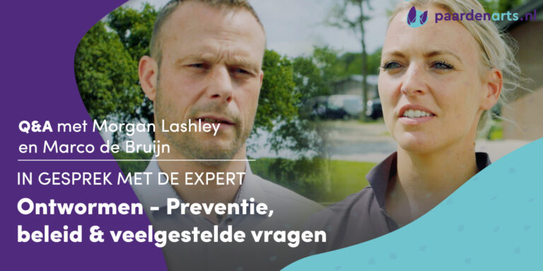 Ontwormen: preventie, beleid en veelgestelde vragen