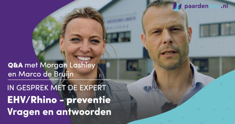 EHV &#8211; Preventie, vragen en antwoorden