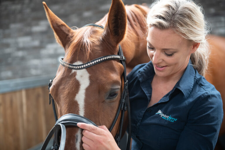 Het belangrijkste in het leven van jouw paard