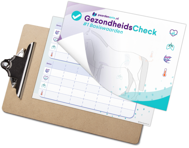 GezondheidsCheck #1 Basiswaarden
