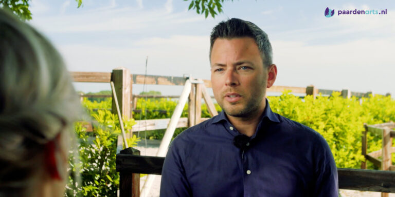 Kies je bij een paard met luchtwegproblemen voor zaagsel of stro?