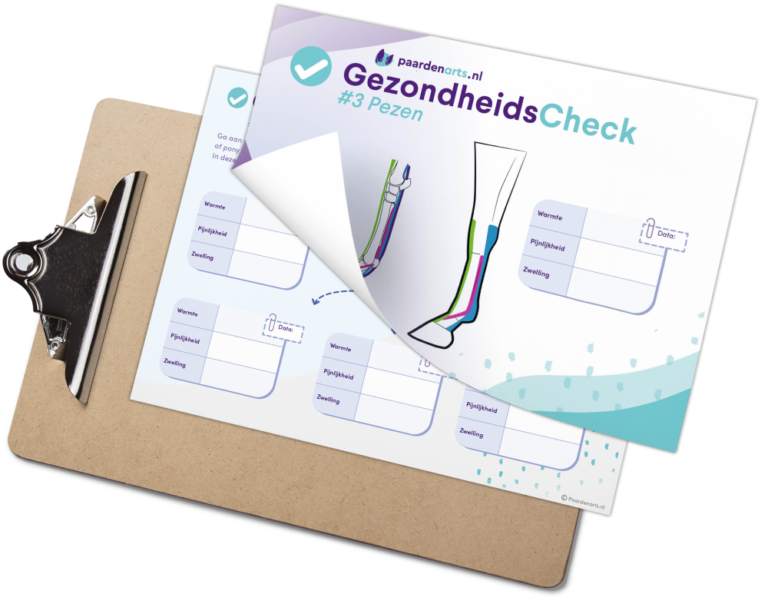 GezondheidsCheck #3 Pezen