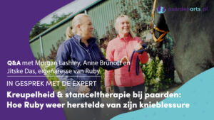 Paardenarts.nl -VIDEO kreupelheid, stamceltherapie - Q&A Anne Brünott -Morgan Lashley cover(s)