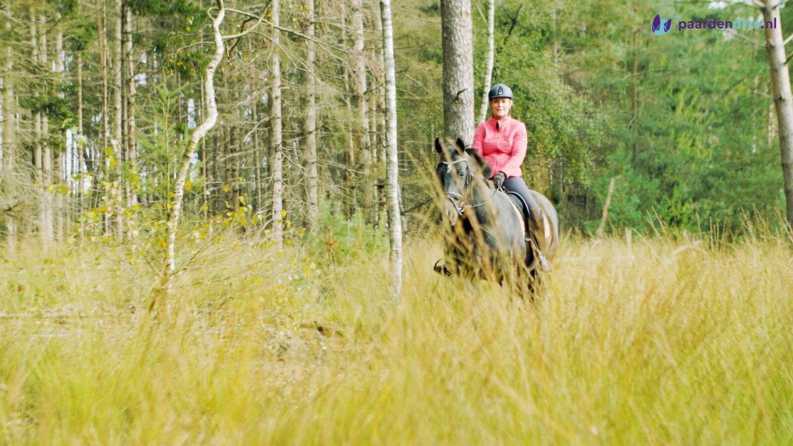 Paardenarts.nl - kreupelheid stamceltherapie - Deel 2 - Paard met eigenaar in het bos