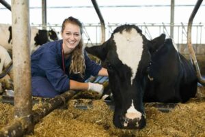 Danjella Nanninga - Crimpenerwaert Dierenartsen