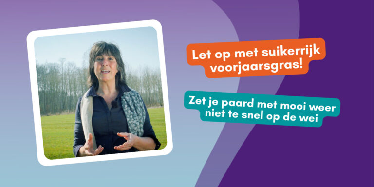 Risico’s voorjaarsgras… zet je paard in het voorjaar nog niet te snel in de wei!