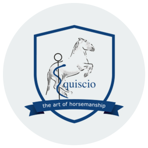 Equiscio logo png