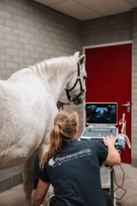 Paardenarts.nl Finder_Paardenpraktijk West-Brabant (10)