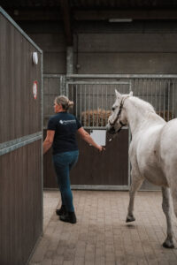 Paardenarts.nl Finder_Paardenpraktijk West-Brabant (11)
