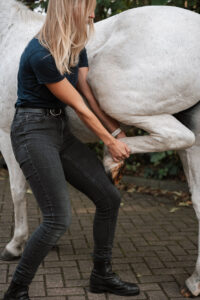 Paardenarts.nl Finder_Paardenpraktijk West-Brabant (4)