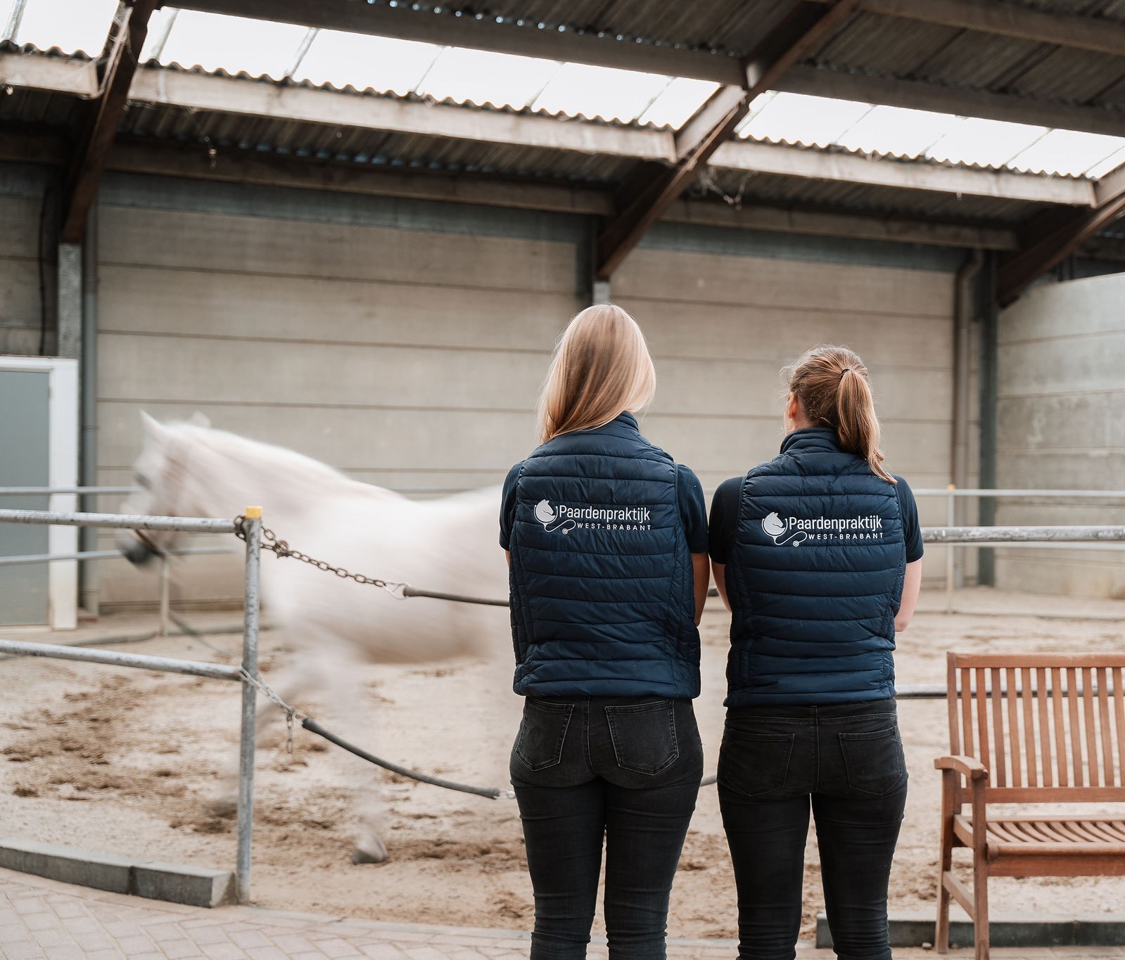 Paardenarts.nl Finder_Paardenpraktijk West-Brabant (6) kliniekprofiel 2