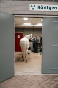 Paardenarts.nl Finder_Paardenpraktijk West-Brabant (7)