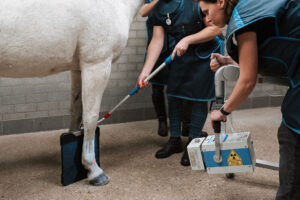 Paardenarts.nl Finder_Paardenpraktijk West-Brabant (9)