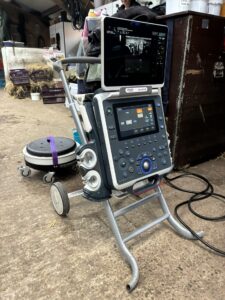 Paardenpraktijk Midden Delfland IMG_1642 LR