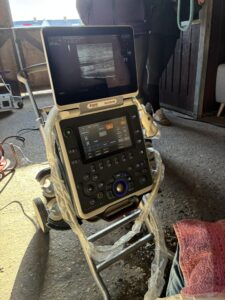 Paardenpraktijk Midden Delfland IMG_1659 LR