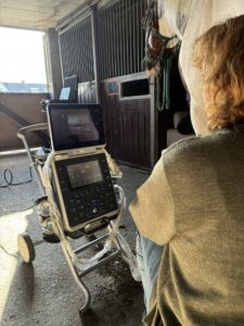 Paardenpraktijk Midden Delfland IMG_1662 LR