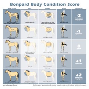 Bonpard_Body_Condition_Score (BCS) scorekaart