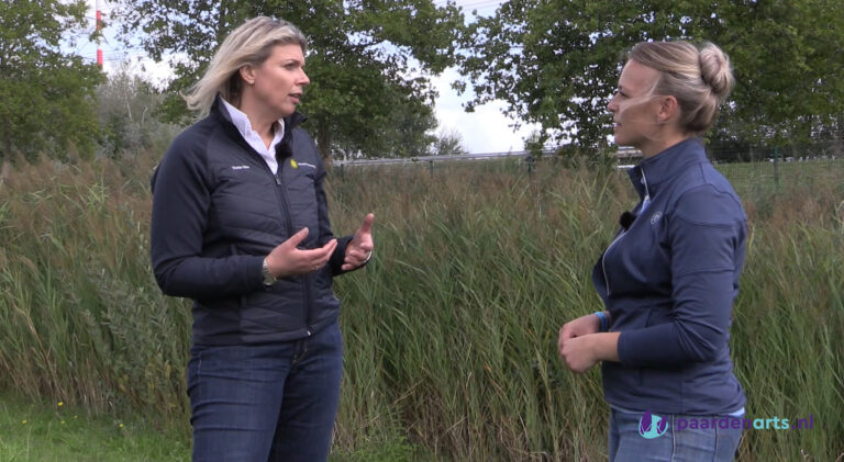 Doe mee aan het onderzoek &#8216;Wat verwacht jij van je dierenarts?&#8217;