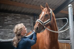 Morgan Lashley -header column Welzijn op Paardenarts.nl