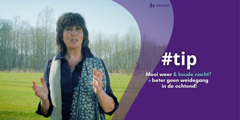 Risico’s voorjaarsgras… Beter geen weidegang bij mooi weer & koude nacht!