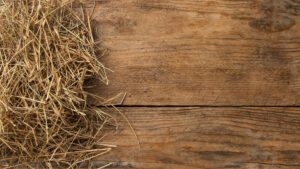 Paardenarts.nl ruwvoer paard - hooi raakt op