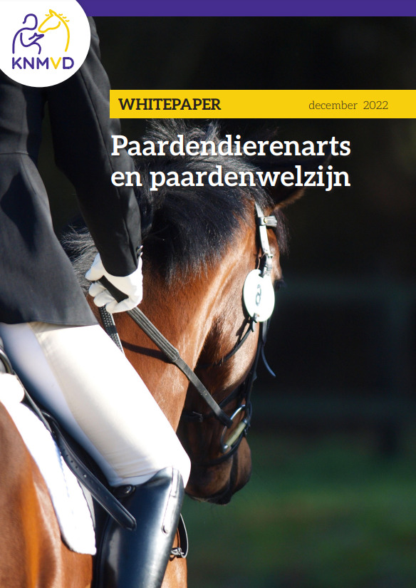 Voorblad Whitepaper Paardendierenarts en paardenwelzijn