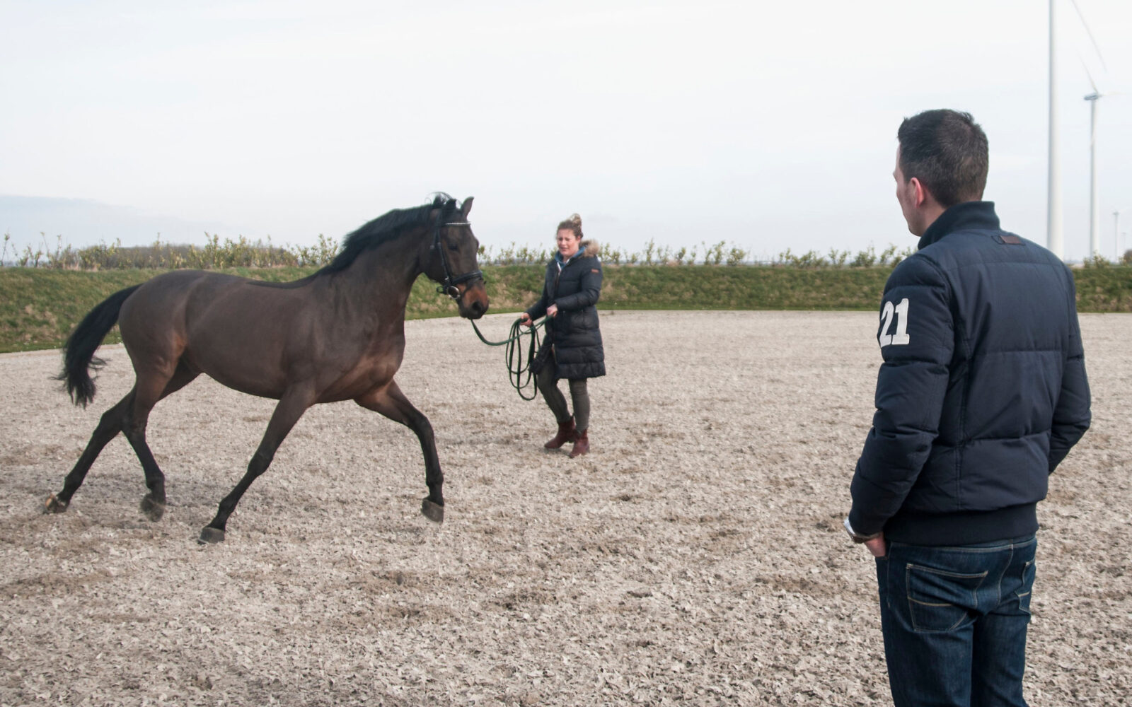 Paardenarts.nl - Erkende Paardendierenarts en erkende Keuringsdierenarts (foto Lotty van Hulst)