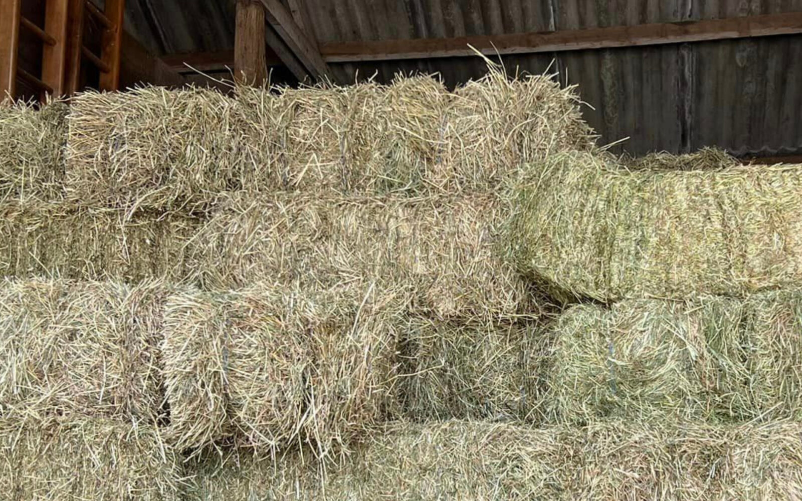 Paardenarts.nl - Ruwvoeranalyse - hooi is altijd anders (1)