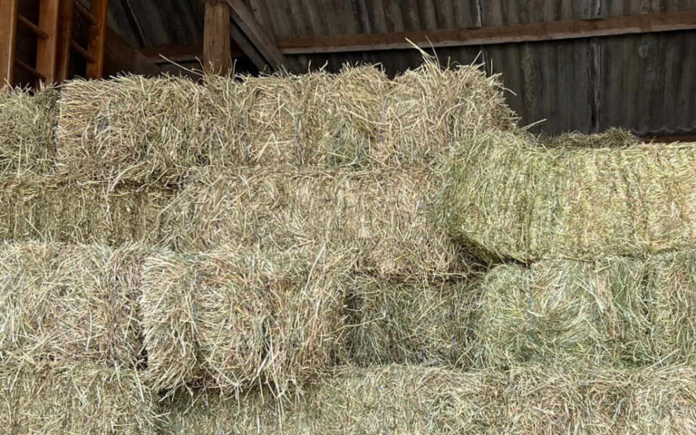 De ruwvoeranalyse laat zien: hooi is altijd anders