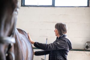 Paardenarts.nl - Voedingsadvies Paard - Anneke voelt paard