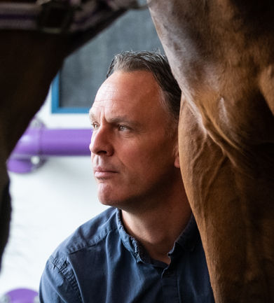 Pepijn van der Vlerk - Paardenkliniek De Zuideres