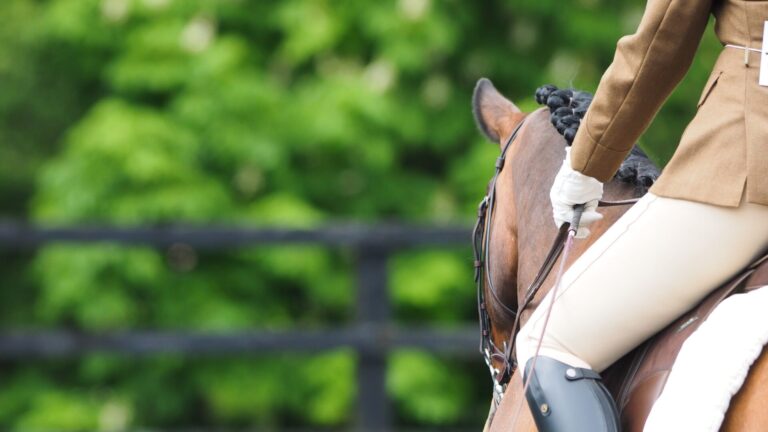 Paardenarts.nl - hippisch recht artikel koop - verkoop (Benthem Gratama) (1)