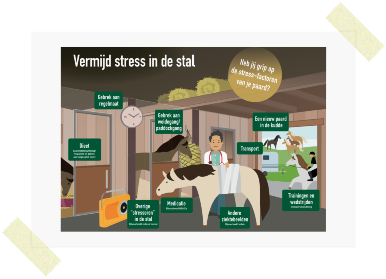 Stalposter &#8216;Vermijd stress in de stal&#8217;