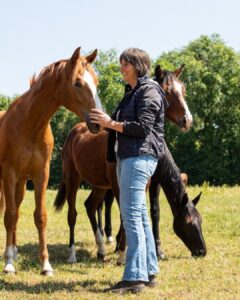 Anneke Hallebeek - Voedingsadvies Paard