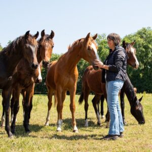 Voedingsconsulent Paard Dierenarts _ - Onderzoek voedingsadvies uitgelicht (insta)