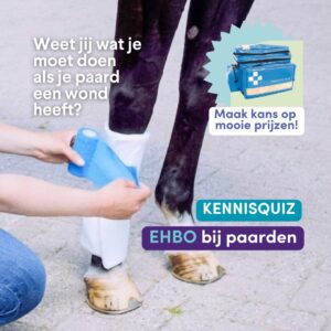 Paardenarts.nl Kennisquiz EHBO paard insta